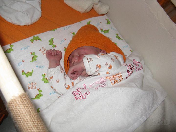 Yente 1 maart 2009  (18).JPG
